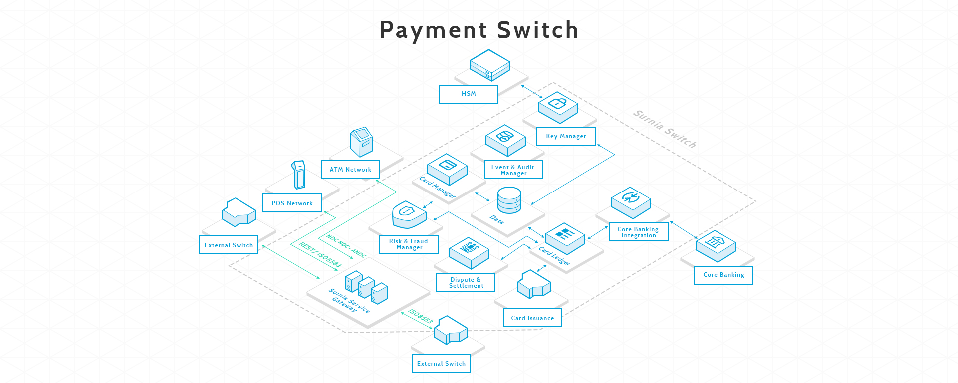 Surnia Payment Switch 