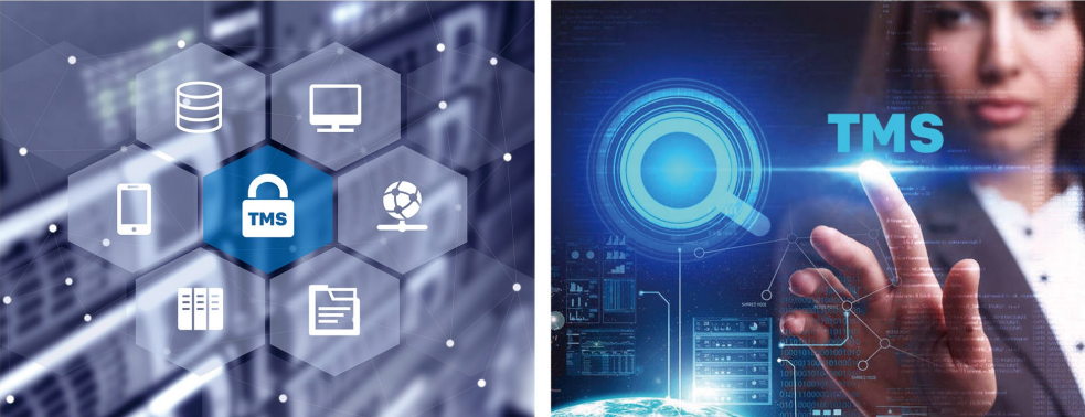 WCT-TMS, a Game-Changer in Terminal Management! 